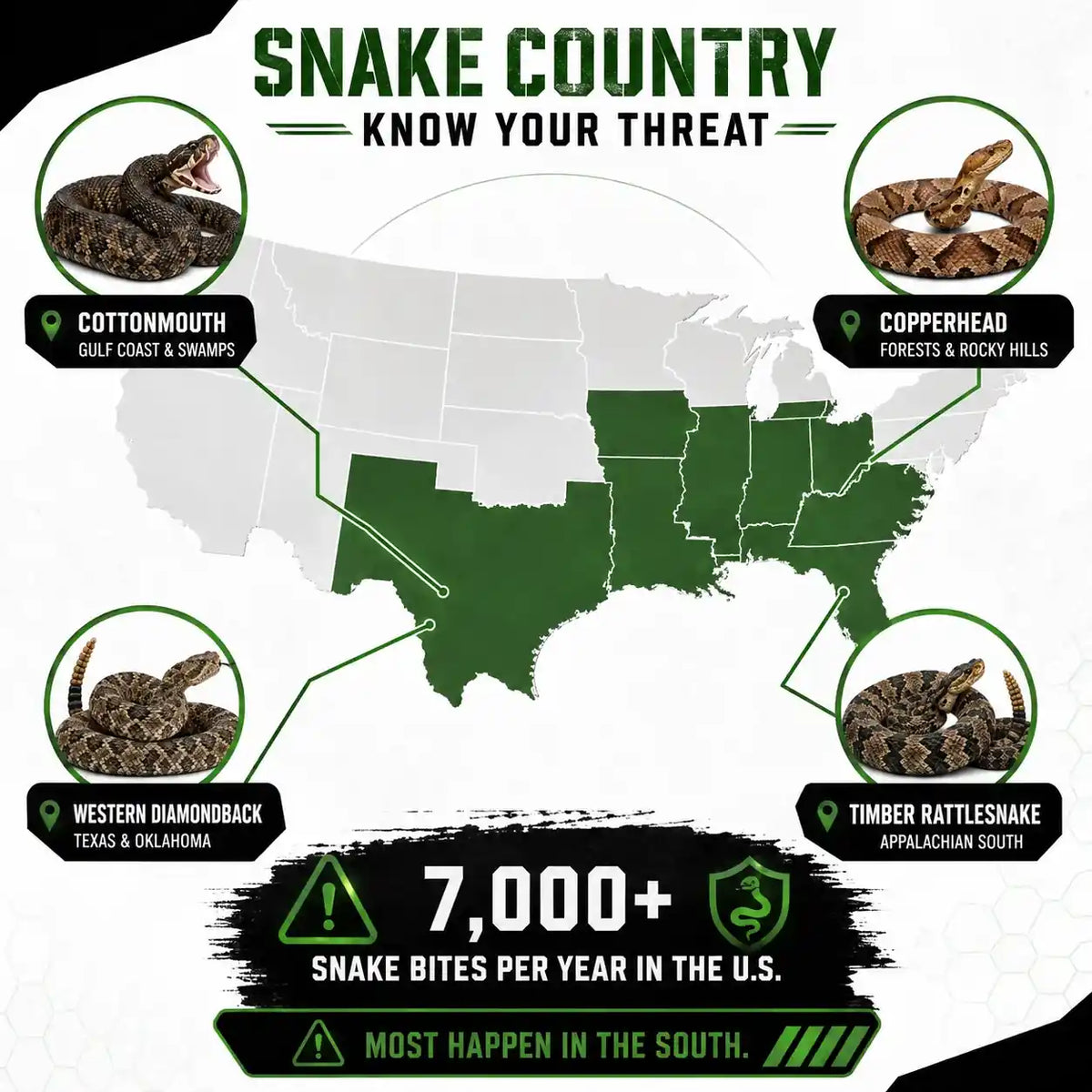U.S. snake country map showing major regions and common venomous snakes for outdoor safety